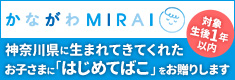 かながわMIRAIキャンペーン「はじめてばこ」（別ウィンドウで開く）