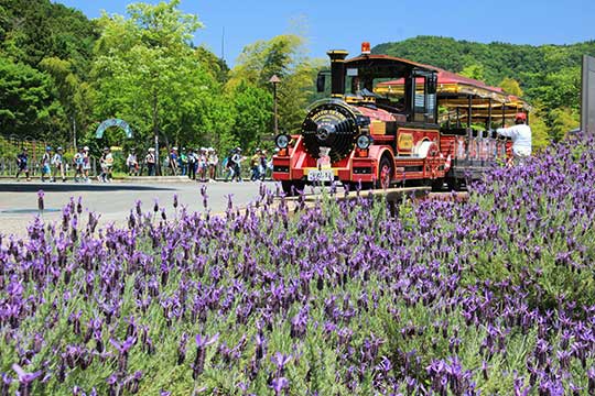 あいかわ公園・宮ヶ瀬ダム イメージ