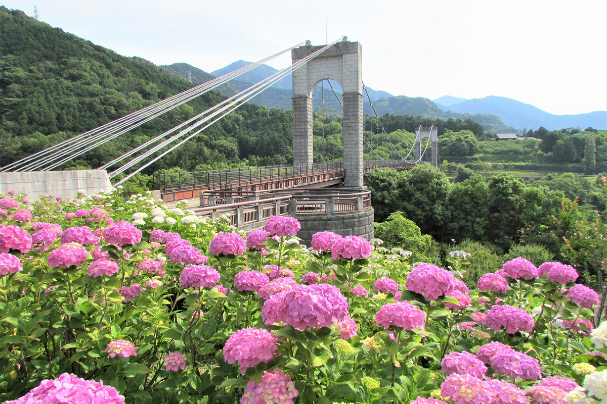 風の吊り橋